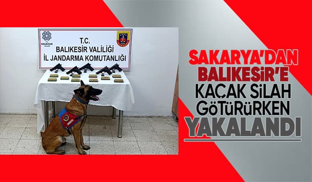 Bomba köpeği 'Vaha' kaçak silahları buldu