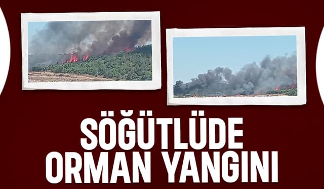 Orman İşletme deposunda çıkan yangın, ormanlık alana sıçradı.