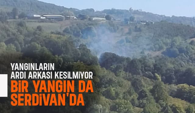 Serdivan'da ağaçlık alanda yangın