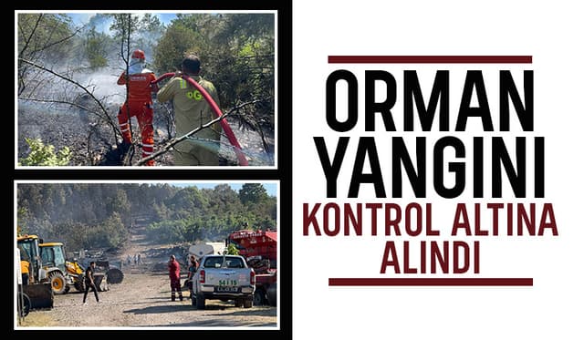 Söğütlü'deki orman yangını 4 saatte kontrol altına alındı