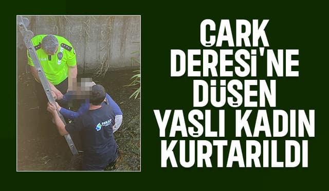 Çark Deresi'ne düştü