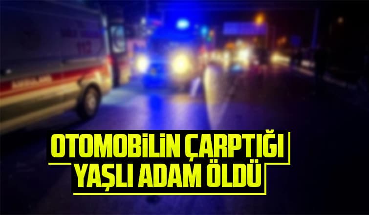 Yaşlı adam kazada öldü