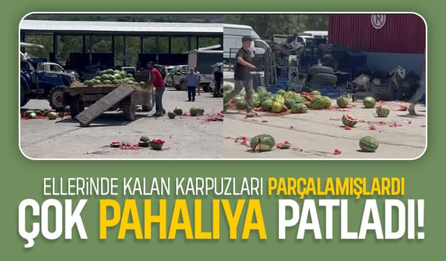 Ellerinde kalan karpuzları parçalayan üreticilere şok ceza