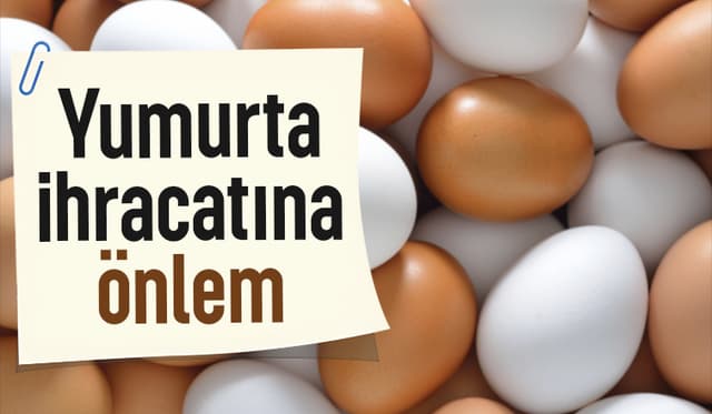 Yumurta İhracatında Yeni Düzenleme: İç Fiyat Dengesine Destek