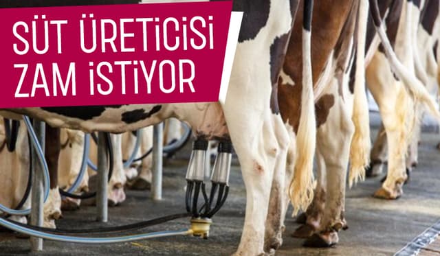 Süt Üreticisinin Talep Ettiği Fiyat Belli Oldu