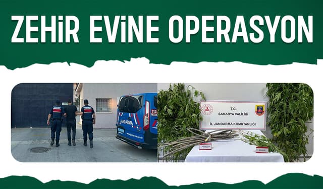 Karapürçek'te Uyuşturucu Operasyonu: 40 Kök Kenevir Ele Geçirildi