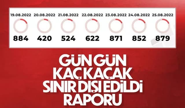 Kaç Kaçak Sınır Dışı Edildi? Gün Gün Raporu