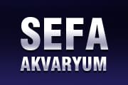 Sefa Akvaryum