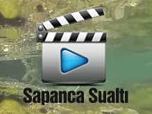Sapanca Gölü su altı manzarası