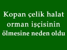Kopan Çelik Halat Orman İşçisinin Ölümüne Neden Oldu