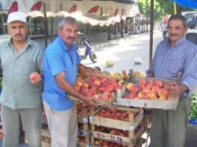 Pamukova Pazarında Sebze ve Meyve Bereketi
