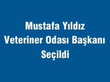 Mustafa Yıldız Yeniden Veteriner Odası Başkanı Seçildi
