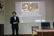 Ormanlardan daha fazla verim almanın yolları