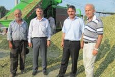 Tarım Kredi'de mısır silaj alımı yapıldı