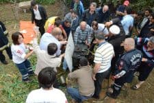 Kocaalili çiftçi bacağını silaj makinesine kaptırdı