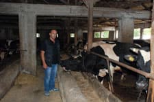 Sapancada kurbanlık satışları nasıl?