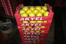 Ayva kavgasında, patent alma isteği