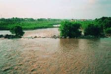 Sakarya Nehri alarm veriyor