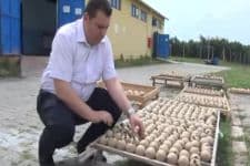 İftar ve sahurlarda bu toplar patlatılacak