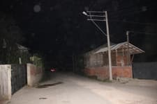 Fındıkların başında tüfekle nöbet tutuyorlar