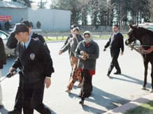 At Arabalı Hırsızlar Polisten Kaçamadı