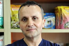 Evcil hayvanlara da diş dolgusu yapılabilir