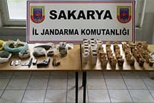 Tavuk çiftliğine baskın!