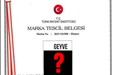 Geyve'den bir tescil daha! O meyvenin patenti alındı