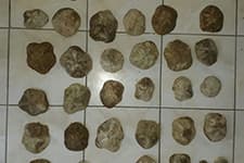 Evinin içinden 40 metre tünel kazdı