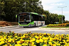 ADARAY ve belediye otobüsleri yarın o saatlerde ücretsiz
