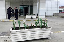 Sapancada Laleler Açtı
