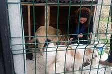 Liseli öğrencilerden örnek davranış