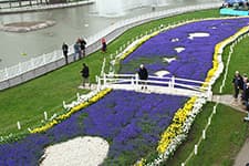 Kent Park'ta Lale Şenliği
