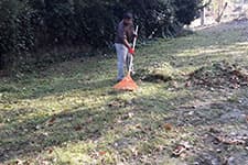 Sapancada Yabani Ot Temizliği Çalışmaları Sürüyor