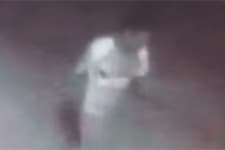 Yavru köpeği işkence yaparak öldürdü