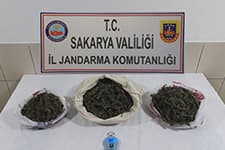 Samanlığın içinden esrar çıktı