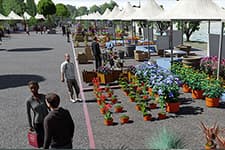 Sakarya Peyzaj ve Süs Bitkiciliği Festivali