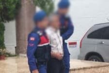 Köpeği ağaca asarak öldüren kişi hakkında karar verildi
