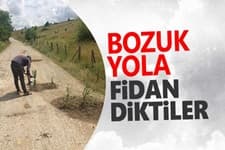 Bozuk yola fidan diktiler!