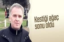 Kestiği ağacın altında kalıp öldü