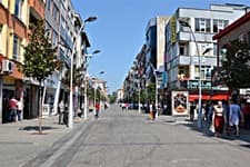 "Geç olmadan topyekün önlem alınmalı"