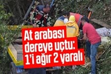 At arabası dereye uçtu: 1i ağır 2 yaralı