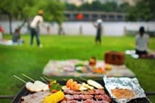 Mangal, piknik yasaklandı