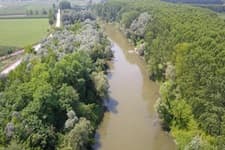 Sakarya Nehrinde toplu balık ölümü