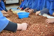 Korona fabrika kapattırdı