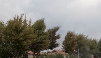 Son Dakika: Sakarya'da şiddetli rüzgar!