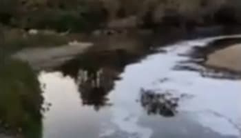 Mudurnu Deresi köpürdü