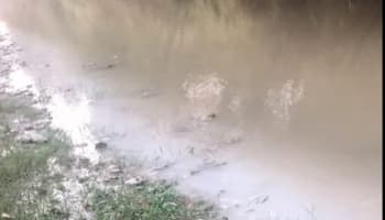 Mudurnu Deresi'nin rengi beyaza döndü