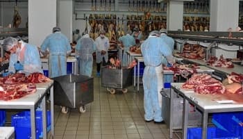 Sakarya Kombinası'na 55 geçici işçi alınacak