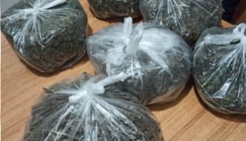 Erenler'de 3 kilo esrar ele geçirildi
